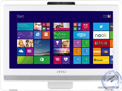 моноблок MSI AE201-084RU